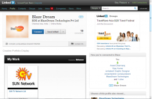Blaze Dream LinkedIn