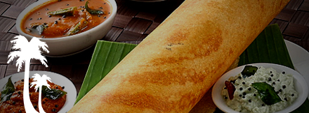 Palm beach drupal website